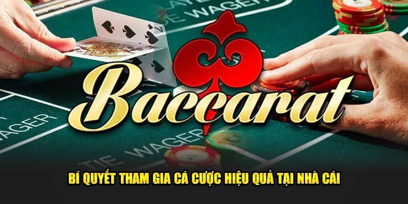 Bí quyết tham gia cá cược hiệu quả tại nhà cái