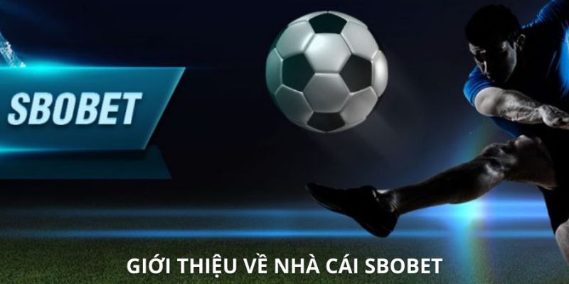 Thông tin chi tiết về sảnh thể thao Sbobet Sport I9BET