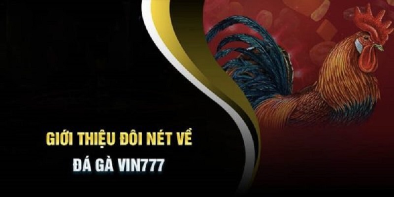 Sơ lược về đá gà i9BET